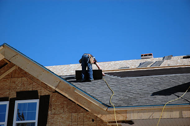 Roof Moss and Algae Removal